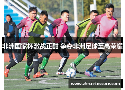 非洲国家杯激战正酣 争夺非洲足球至高荣耀