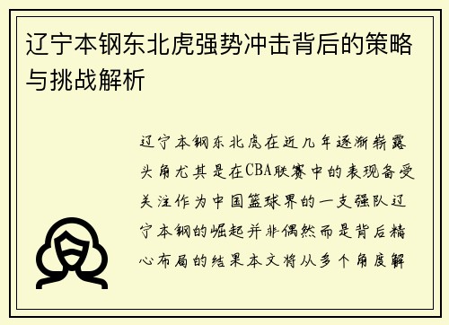 辽宁本钢东北虎强势冲击背后的策略与挑战解析