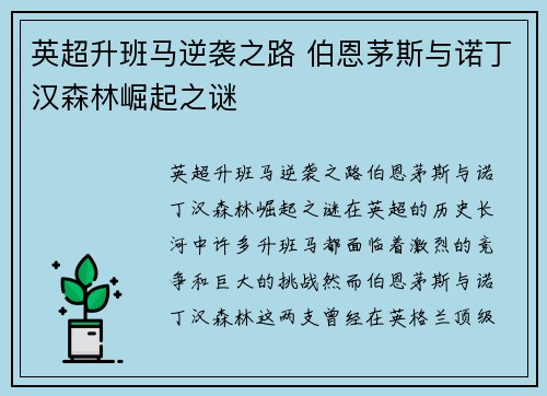 英超升班马逆袭之路 伯恩茅斯与诺丁汉森林崛起之谜